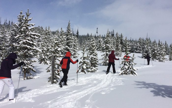 students cross country skiing during Winterim