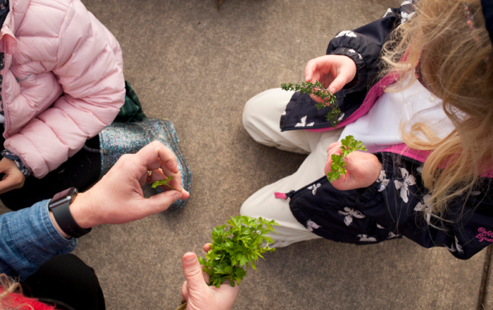 students and teacher picking herbs in the garden